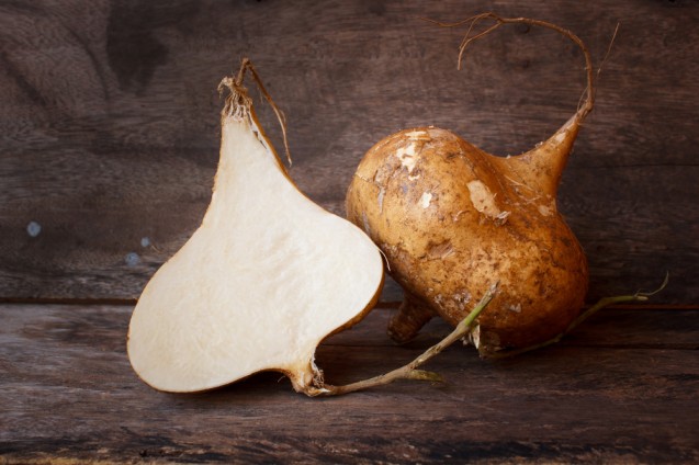 Jicama