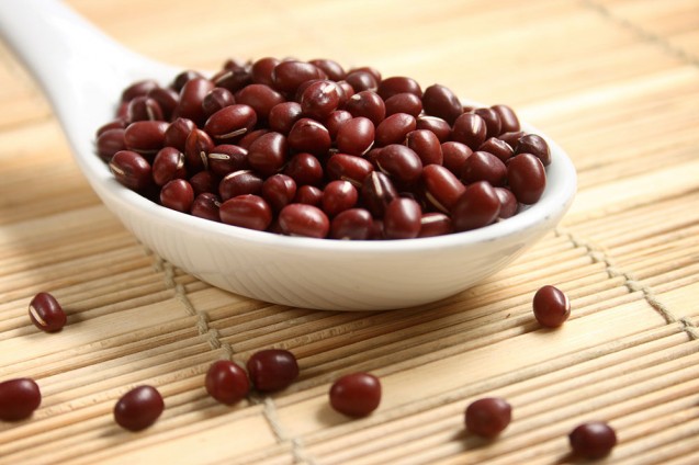 Kacang merah