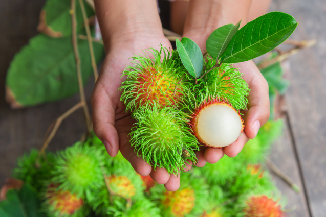 Rambutan