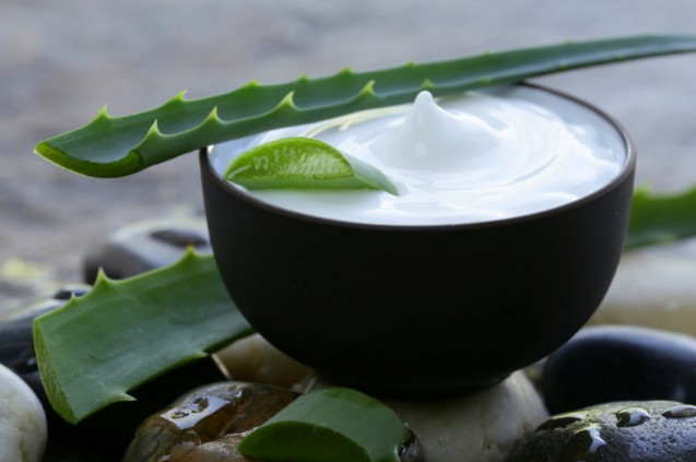 Aloe vera
